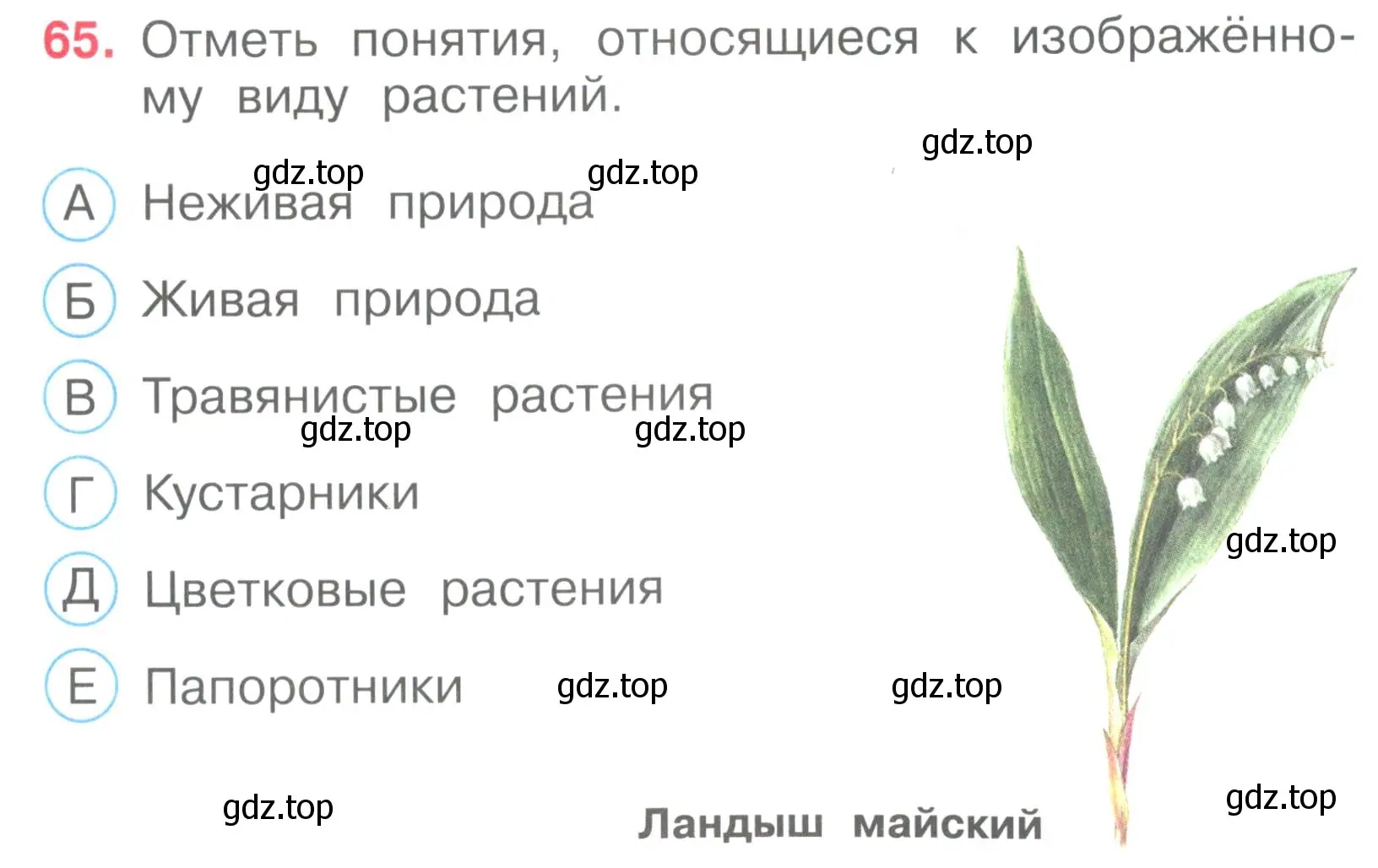 Условие номер 65 (страница 21) гдз по окружающему миру 3 класс Плешаков, Гара, тесты