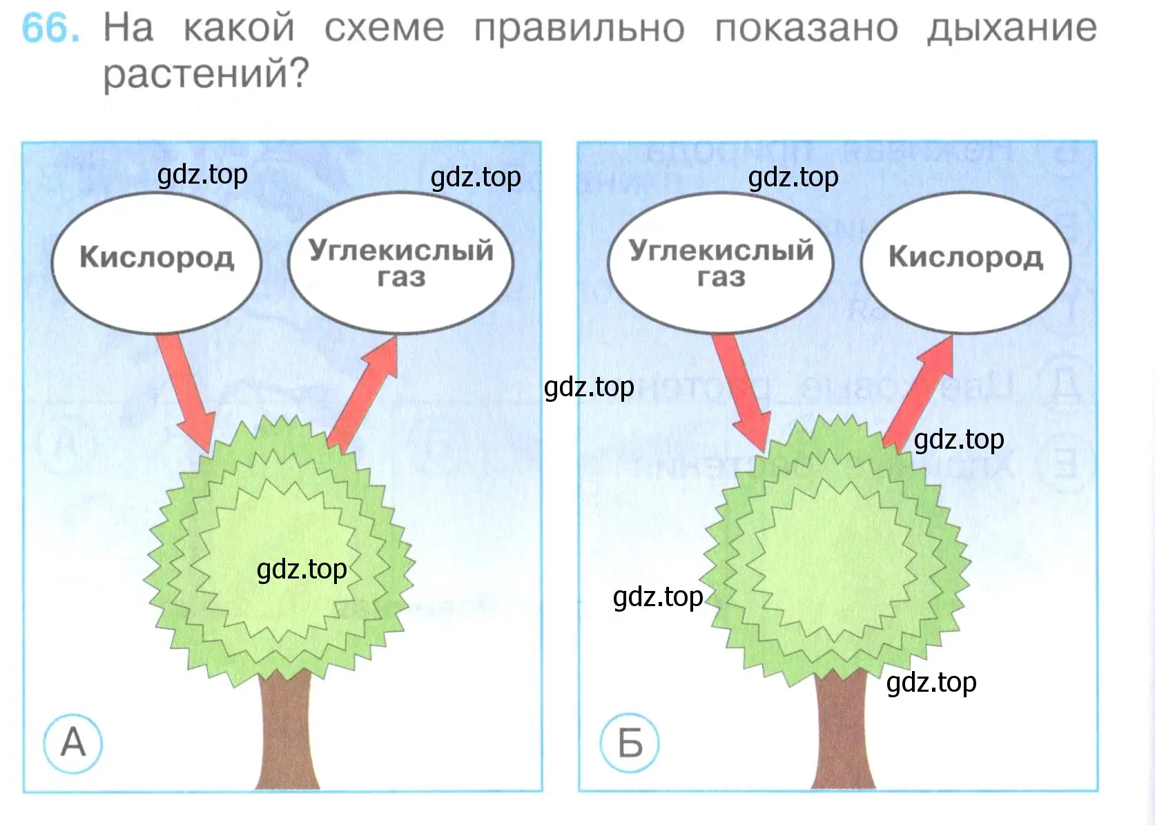 Условие номер 66 (страница 22) гдз по окружающему миру 3 класс Плешаков, Гара, тесты