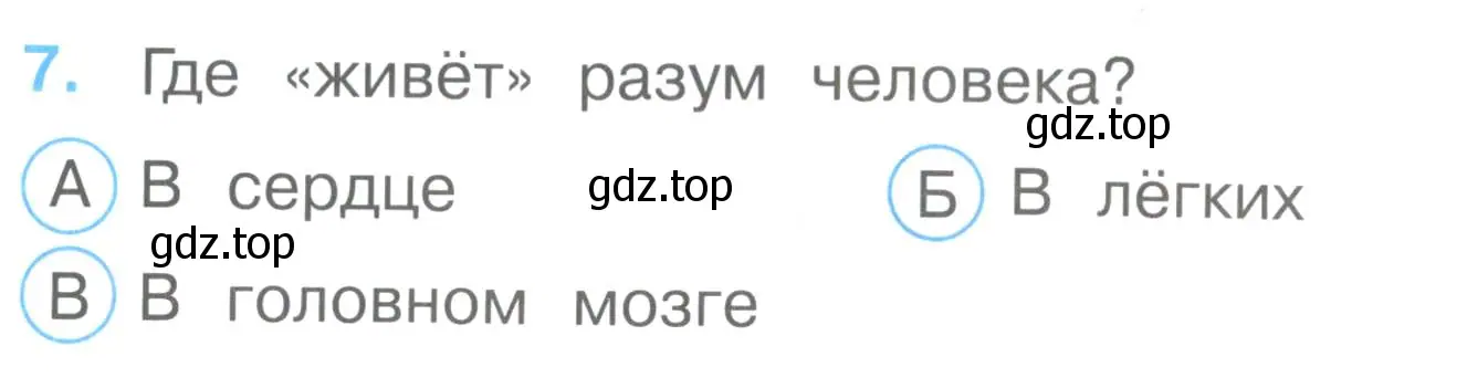 Условие номер 7 (страница 4) гдз по окружающему миру 3 класс Плешаков, Гара, тесты