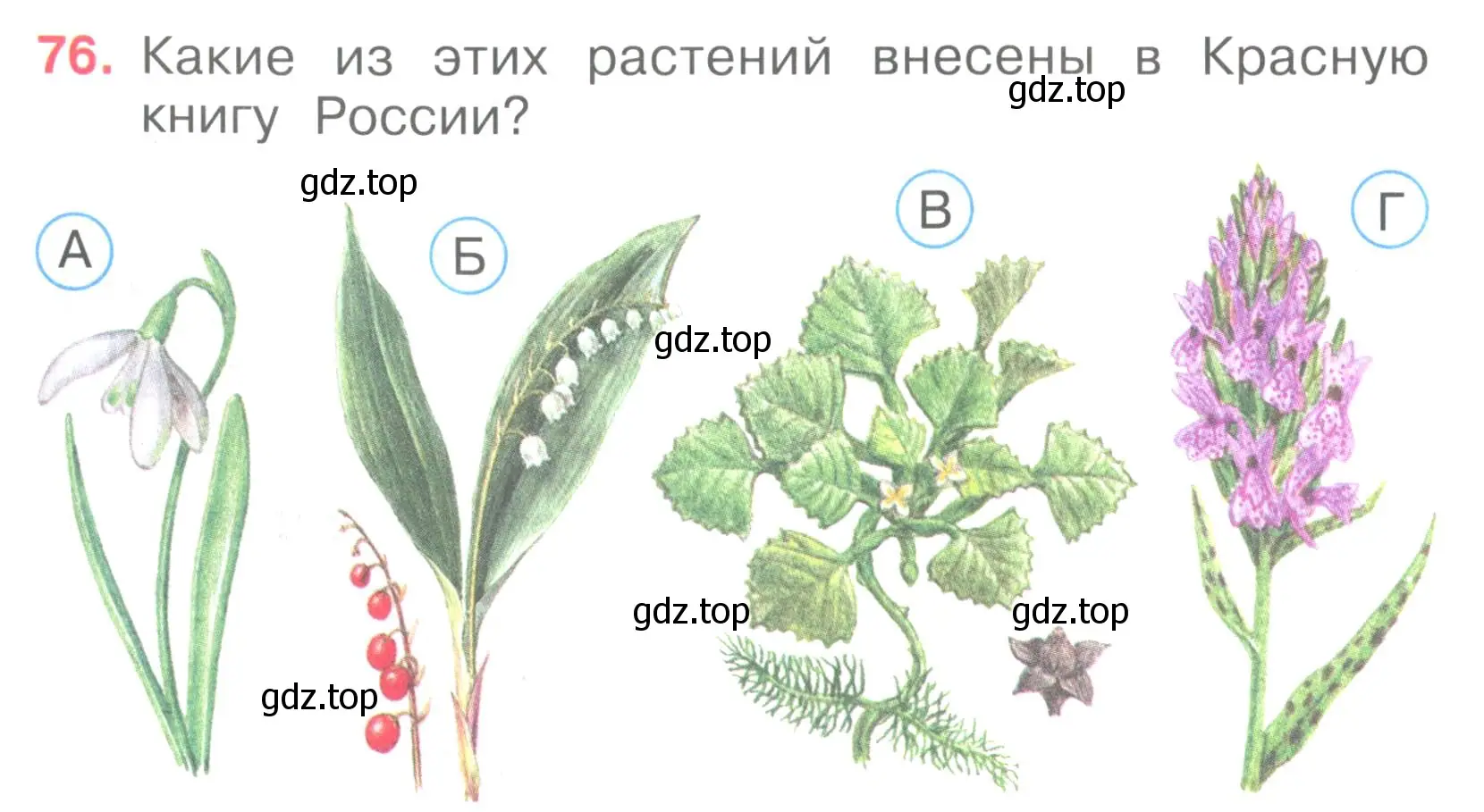 Условие номер 76 (страница 24) гдз по окружающему миру 3 класс Плешаков, Гара, тесты