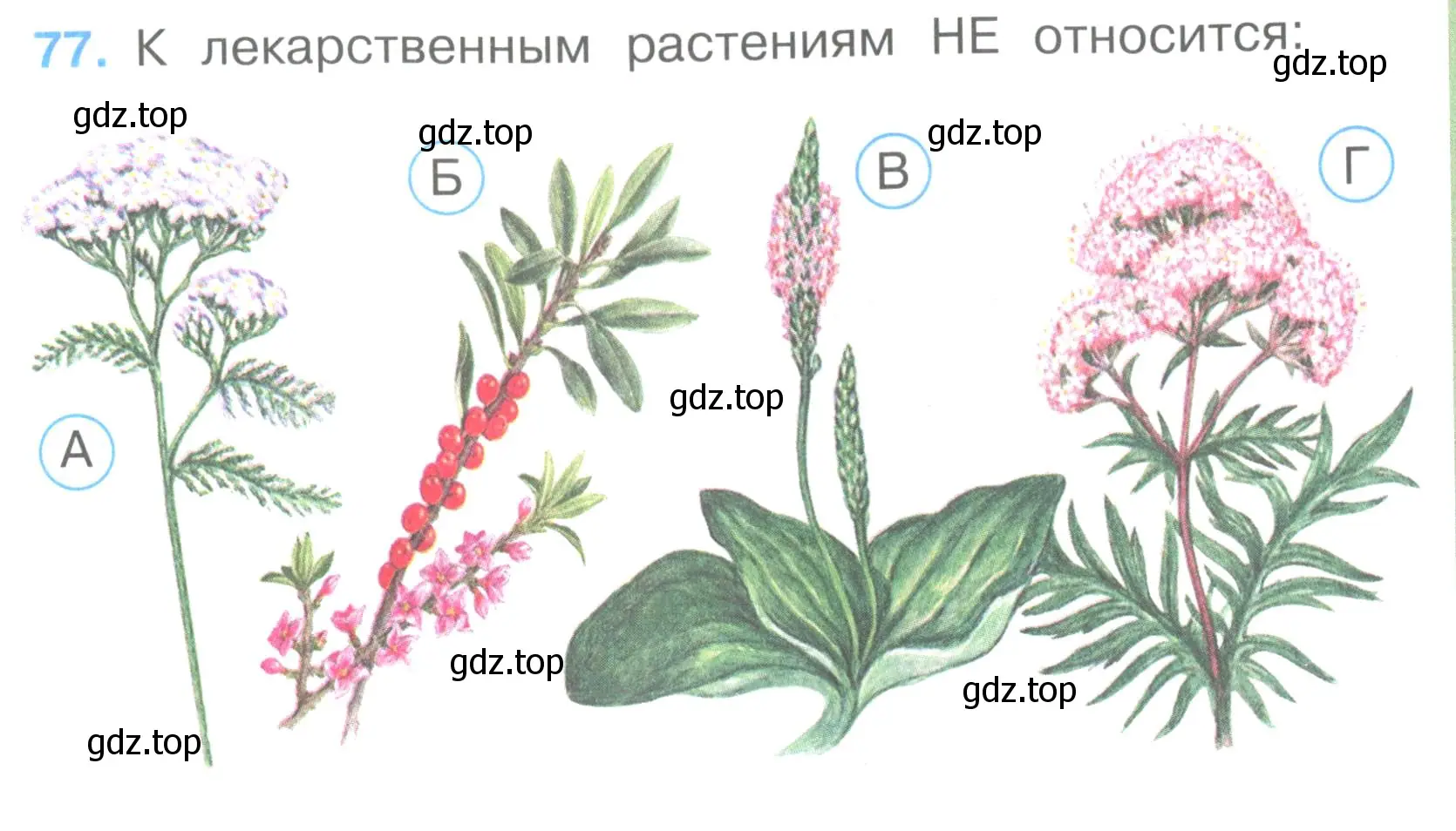 Условие номер 77 (страница 25) гдз по окружающему миру 3 класс Плешаков, Гара, тесты