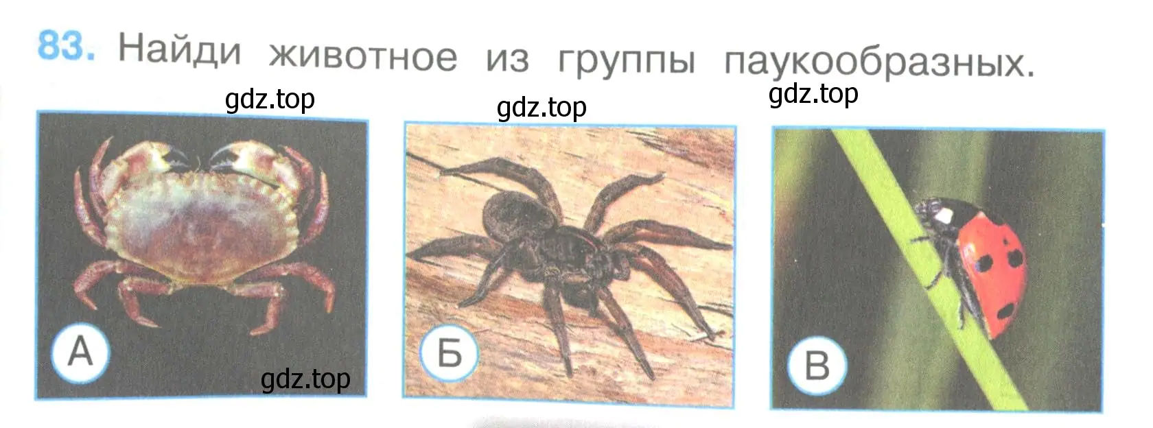 Условие номер 83 (страница 26) гдз по окружающему миру 3 класс Плешаков, Гара, тесты