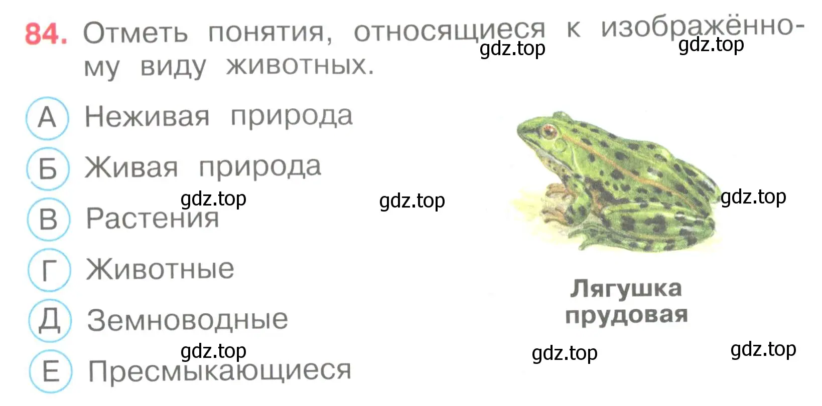 Условие номер 84 (страница 27) гдз по окружающему миру 3 класс Плешаков, Гара, тесты