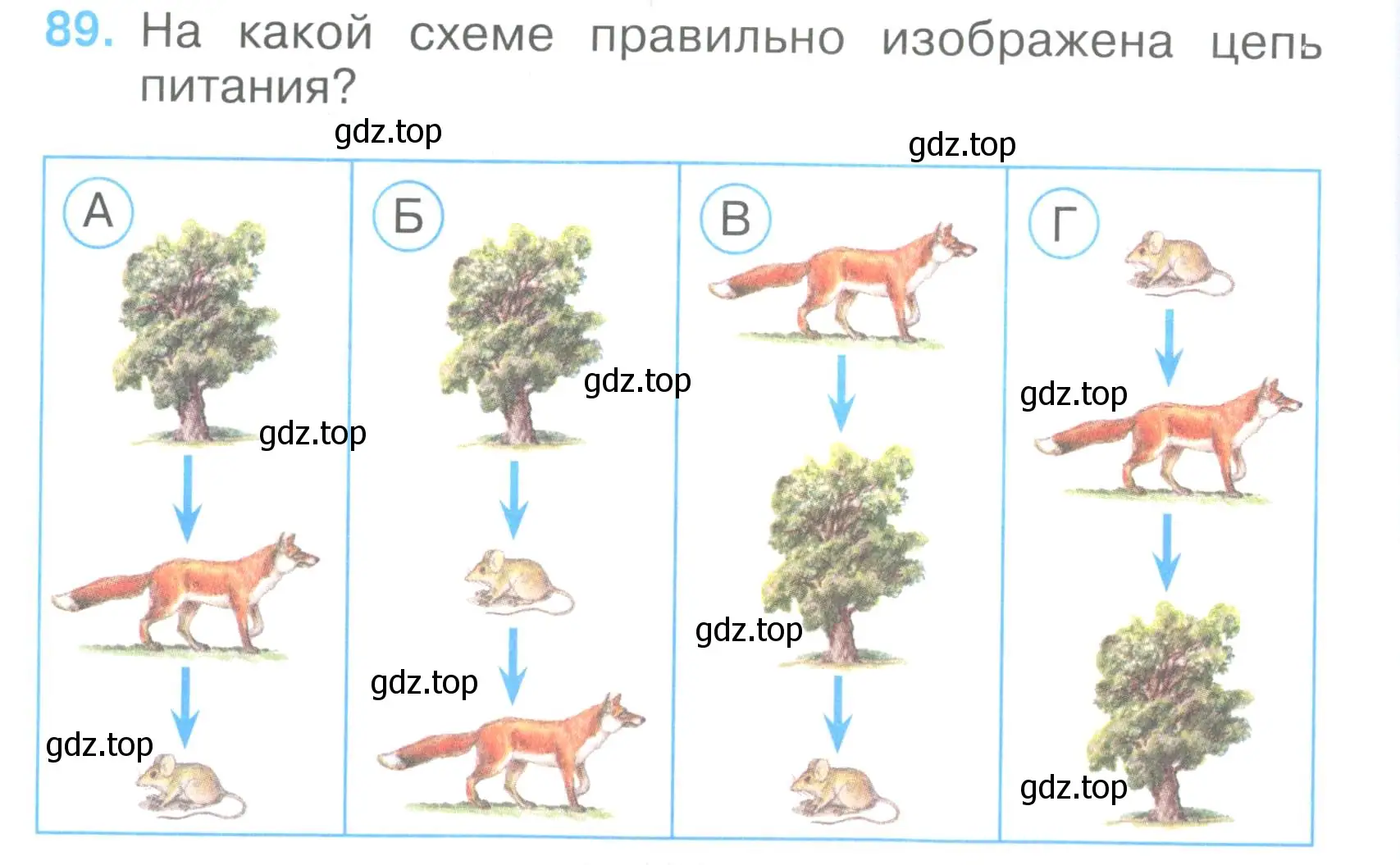 Условие номер 89 (страница 28) гдз по окружающему миру 3 класс Плешаков, Гара, тесты