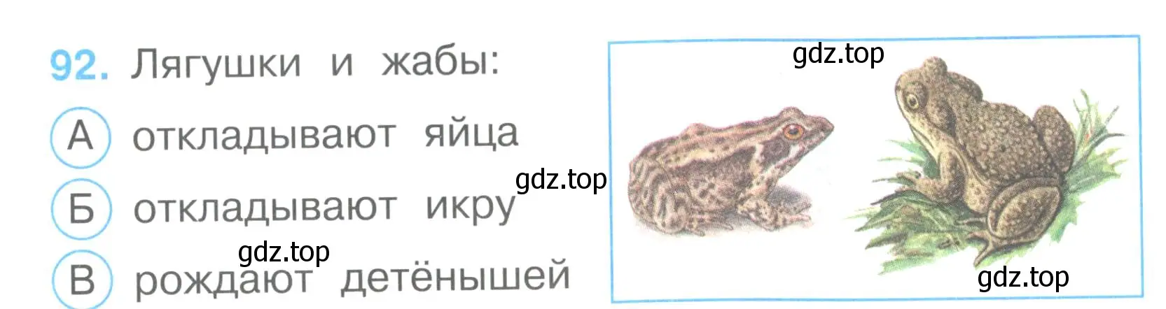 Условие номер 92 (страница 29) гдз по окружающему миру 3 класс Плешаков, Гара, тесты