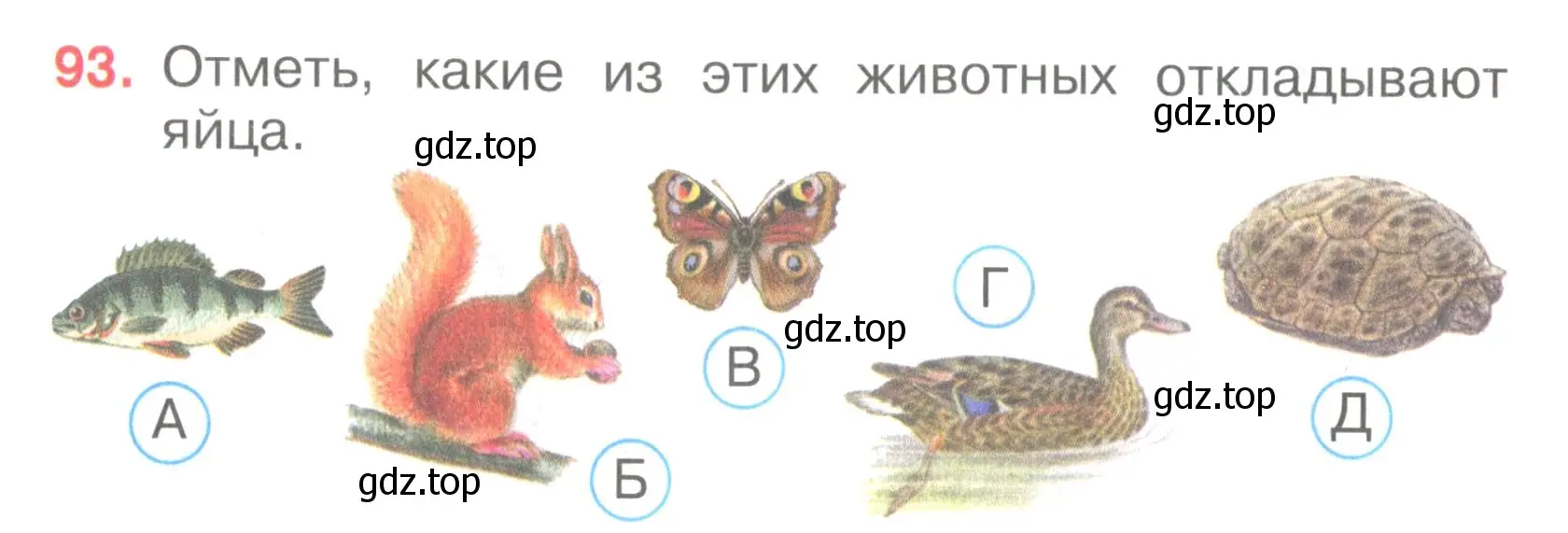 Условие номер 93 (страница 30) гдз по окружающему миру 3 класс Плешаков, Гара, тесты