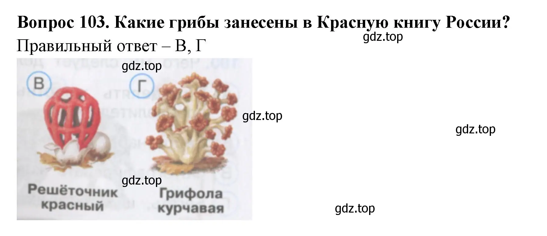 Решение номер 103 (страница 32) гдз по окружающему миру 3 класс Плешаков, Гара, тесты