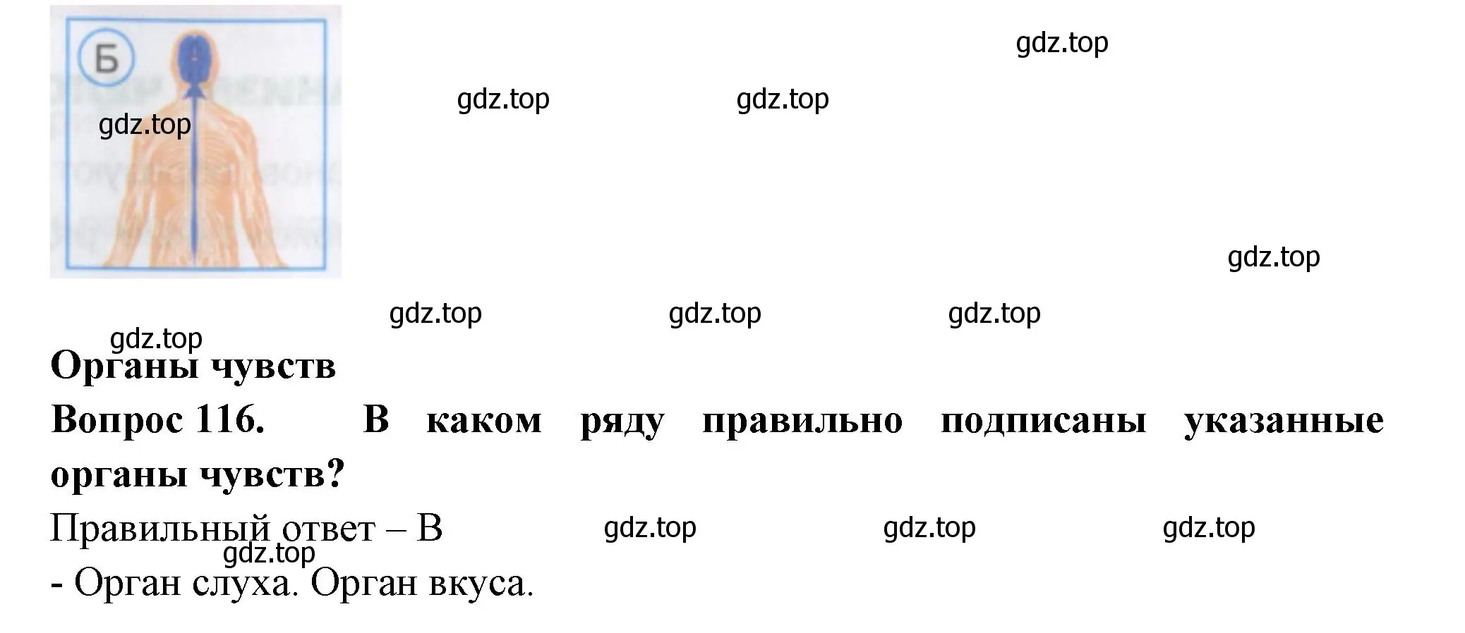 Решение номер 116 (страница 36) гдз по окружающему миру 3 класс Плешаков, Гара, тесты