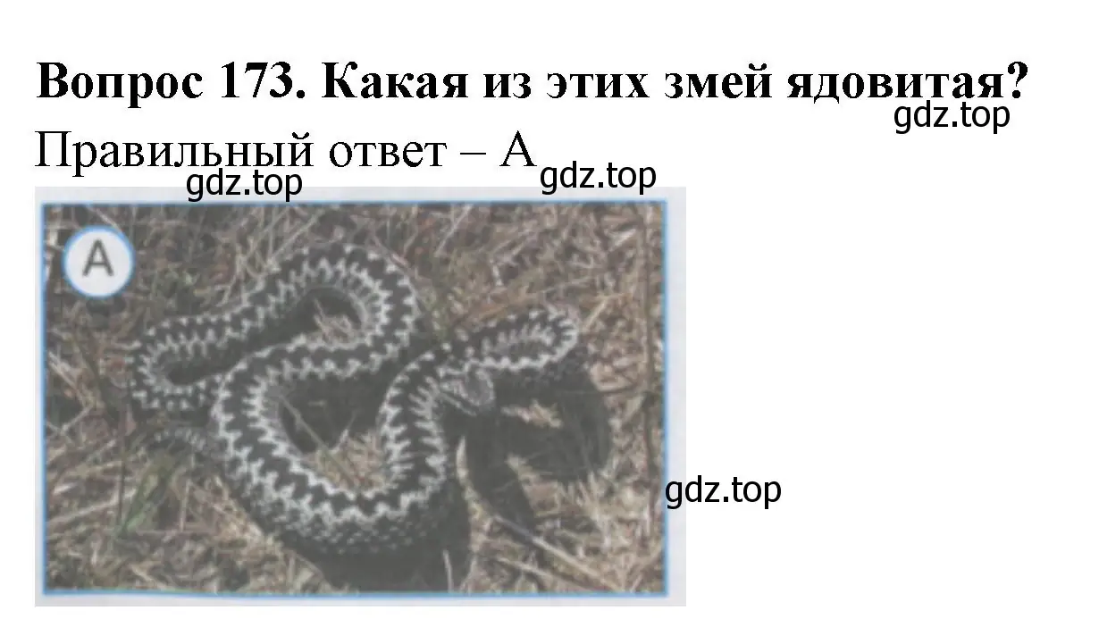 Решение номер 173 (страница 52) гдз по окружающему миру 3 класс Плешаков, Гара, тесты