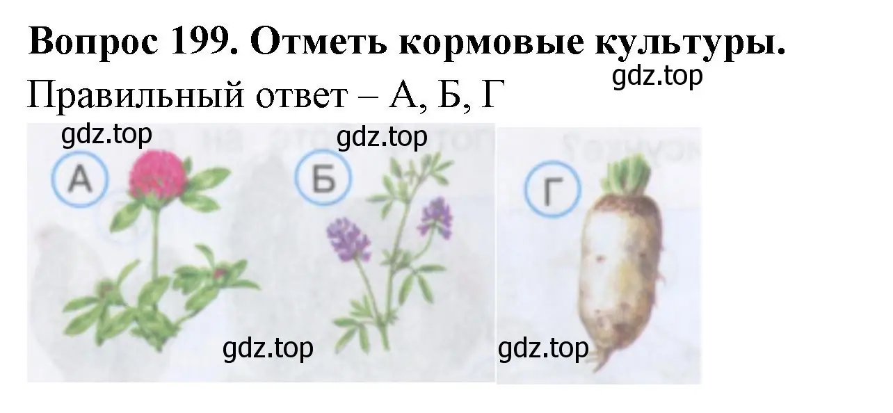 Решение номер 199 (страница 61) гдз по окружающему миру 3 класс Плешаков, Гара, тесты