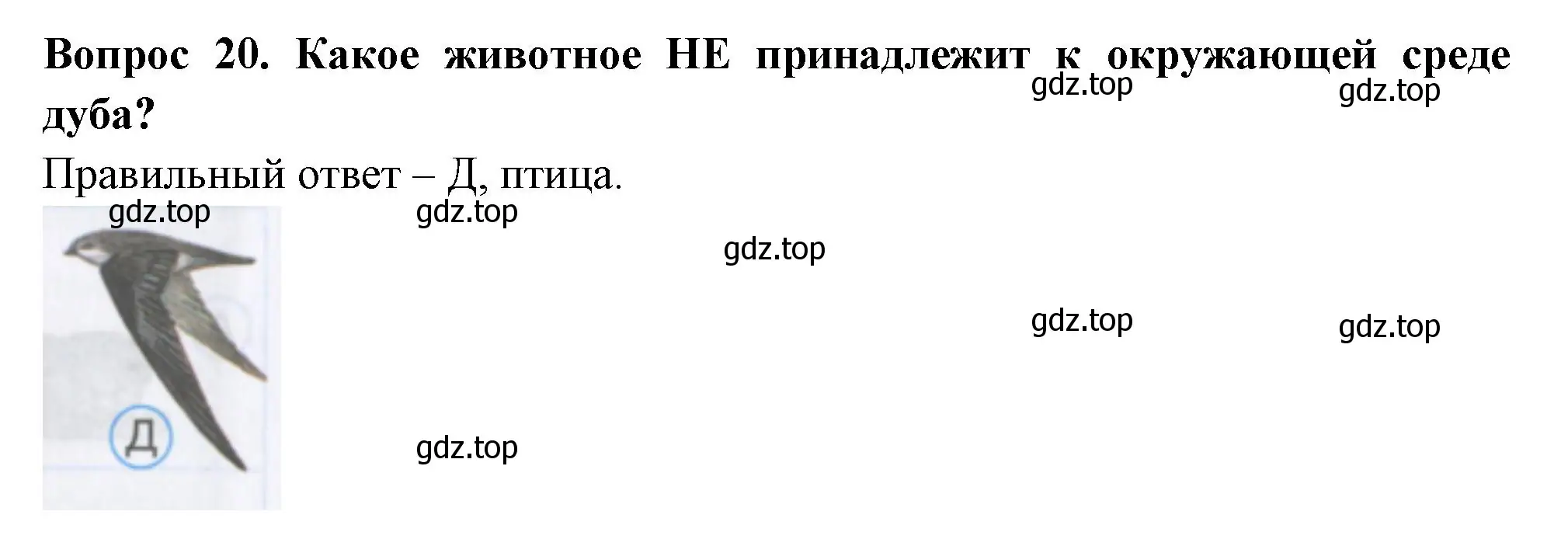 Решение номер 20 (страница 8) гдз по окружающему миру 3 класс Плешаков, Гара, тесты