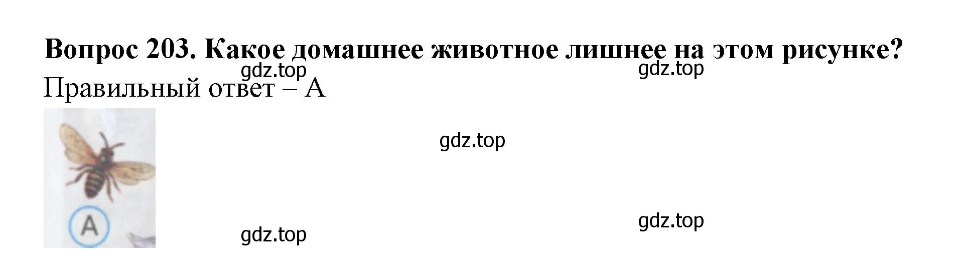 Решение номер 203 (страница 62) гдз по окружающему миру 3 класс Плешаков, Гара, тесты