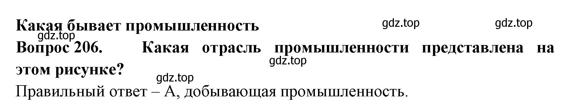 Решение номер 206 (страница 62) гдз по окружающему миру 3 класс Плешаков, Гара, тесты