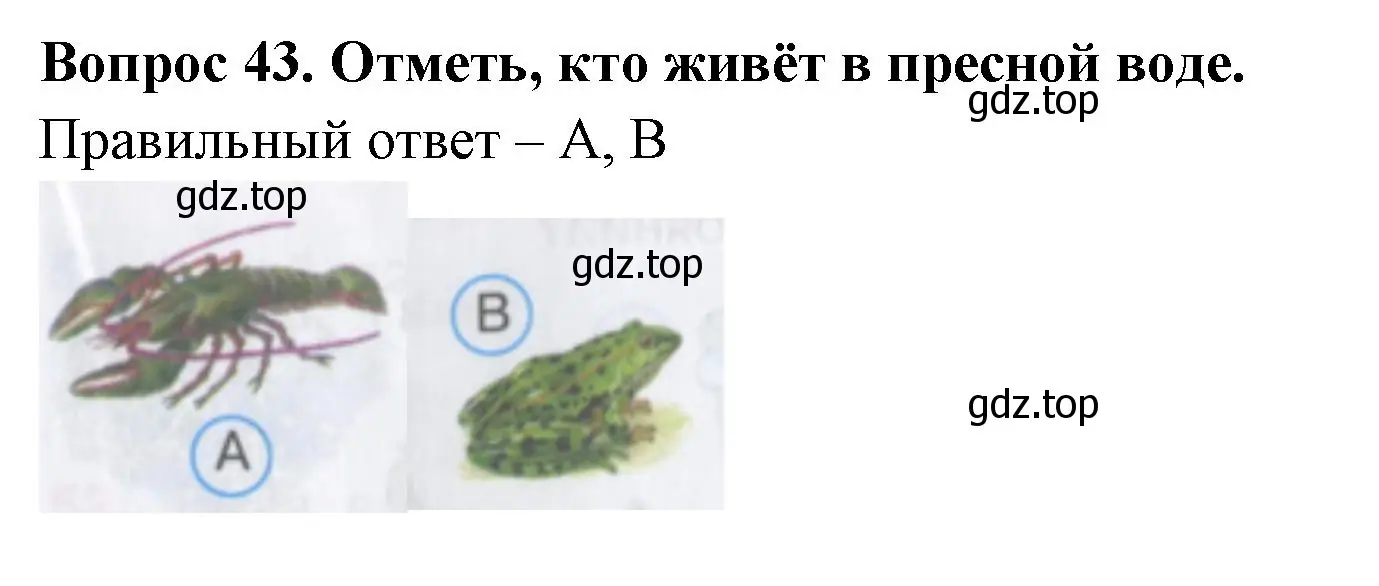 Решение номер 43 (страница 15) гдз по окружающему миру 3 класс Плешаков, Гара, тесты