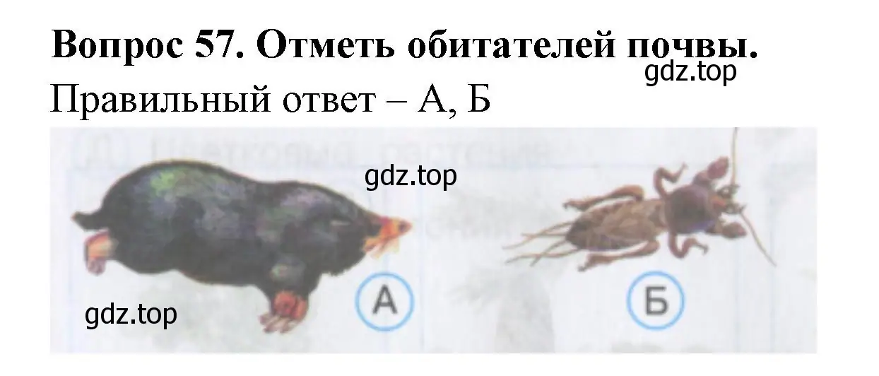 Решение номер 57 (страница 19) гдз по окружающему миру 3 класс Плешаков, Гара, тесты