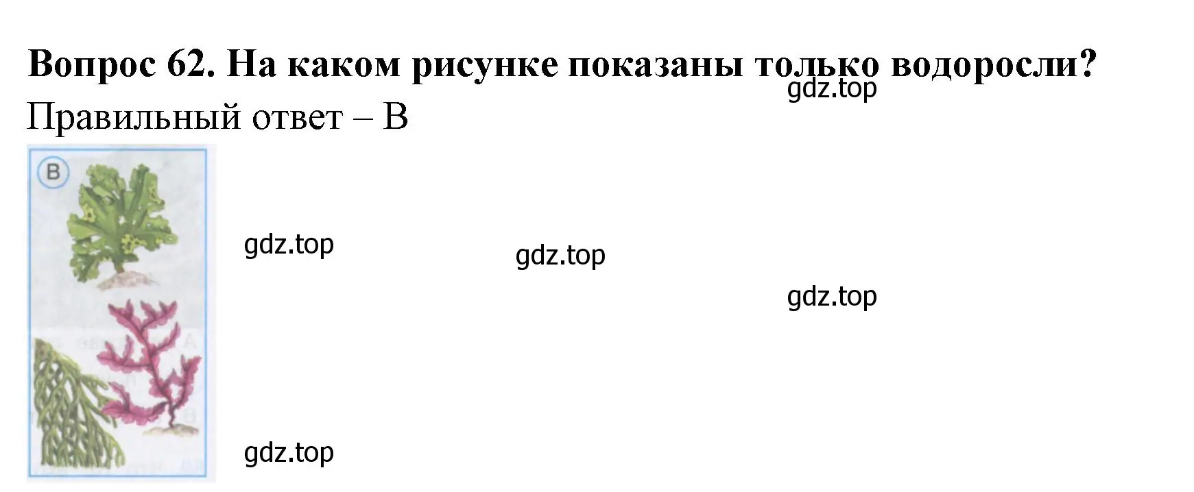 Решение номер 62 (страница 20) гдз по окружающему миру 3 класс Плешаков, Гара, тесты