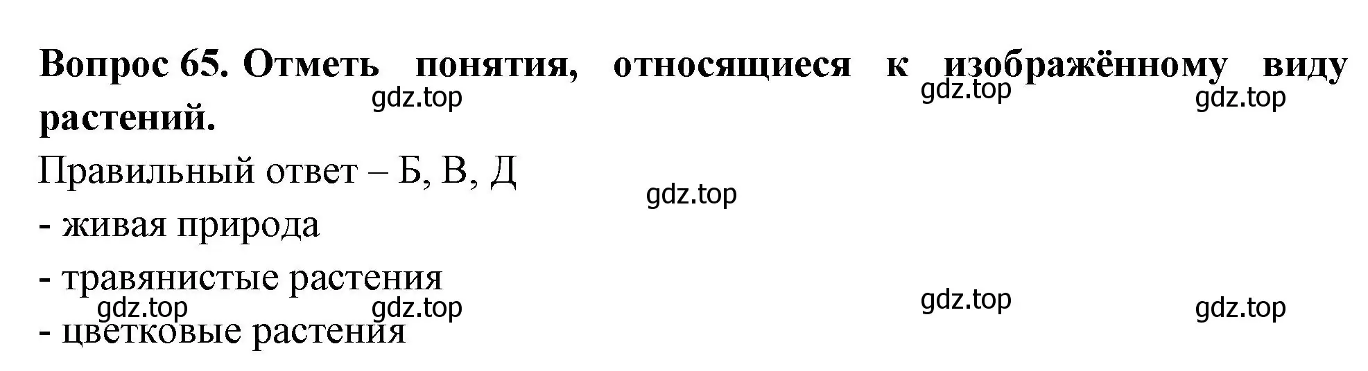 Решение номер 65 (страница 21) гдз по окружающему миру 3 класс Плешаков, Гара, тесты