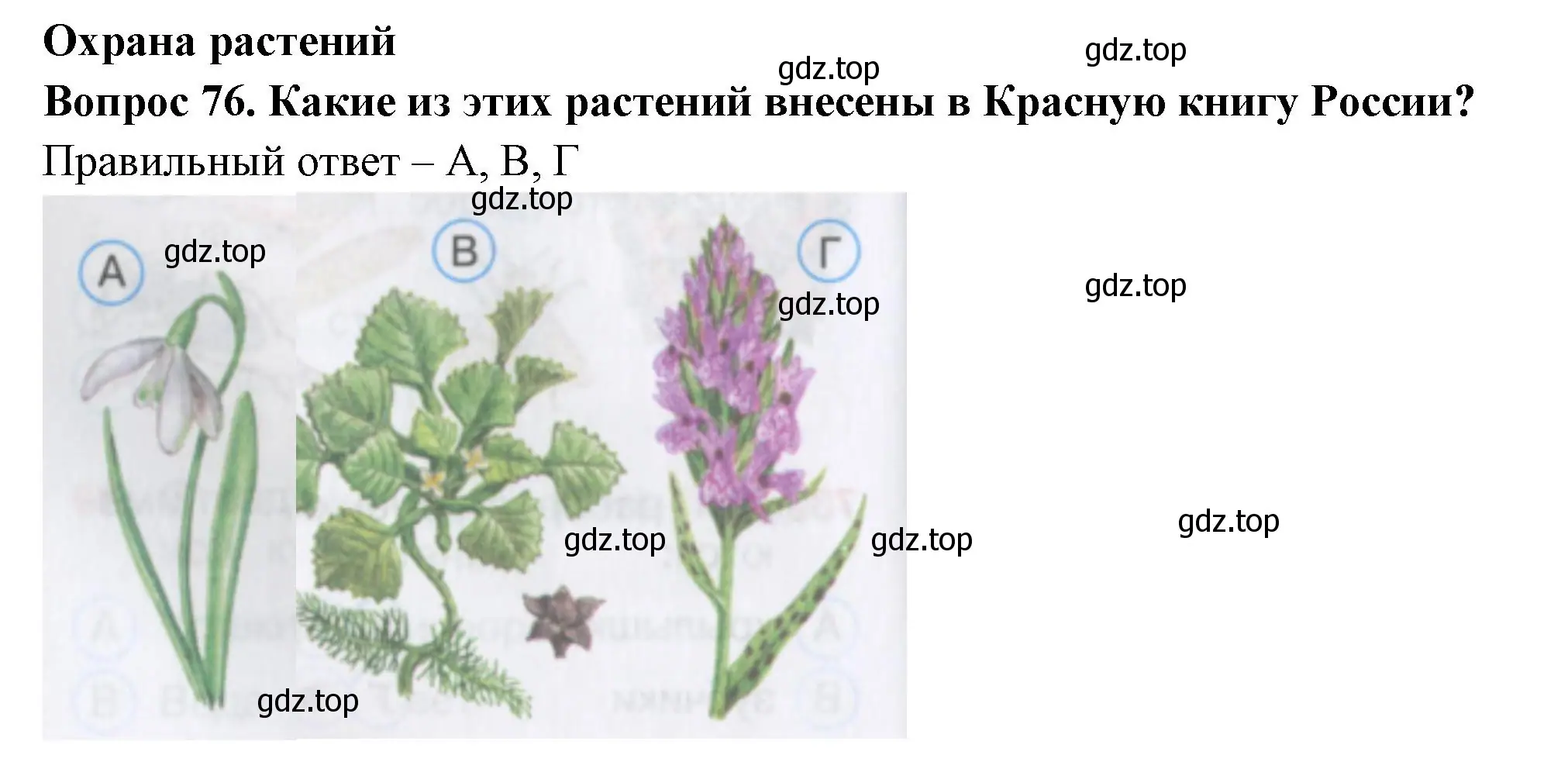 Решение номер 76 (страница 24) гдз по окружающему миру 3 класс Плешаков, Гара, тесты