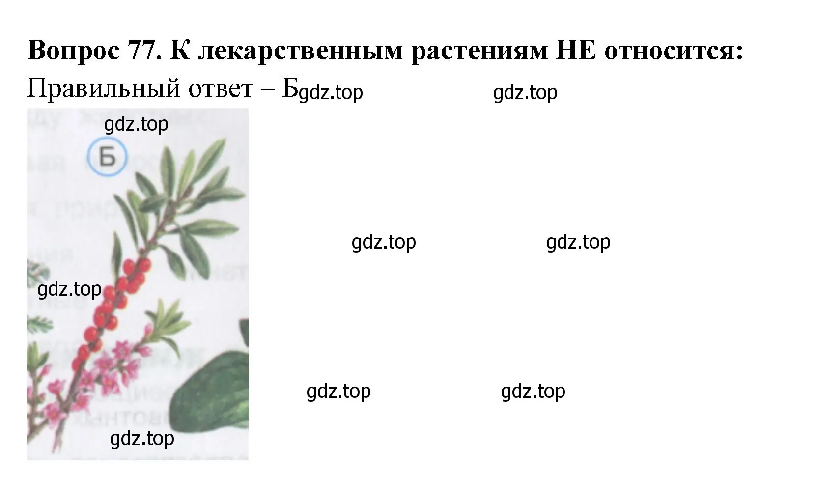 Решение номер 77 (страница 25) гдз по окружающему миру 3 класс Плешаков, Гара, тесты