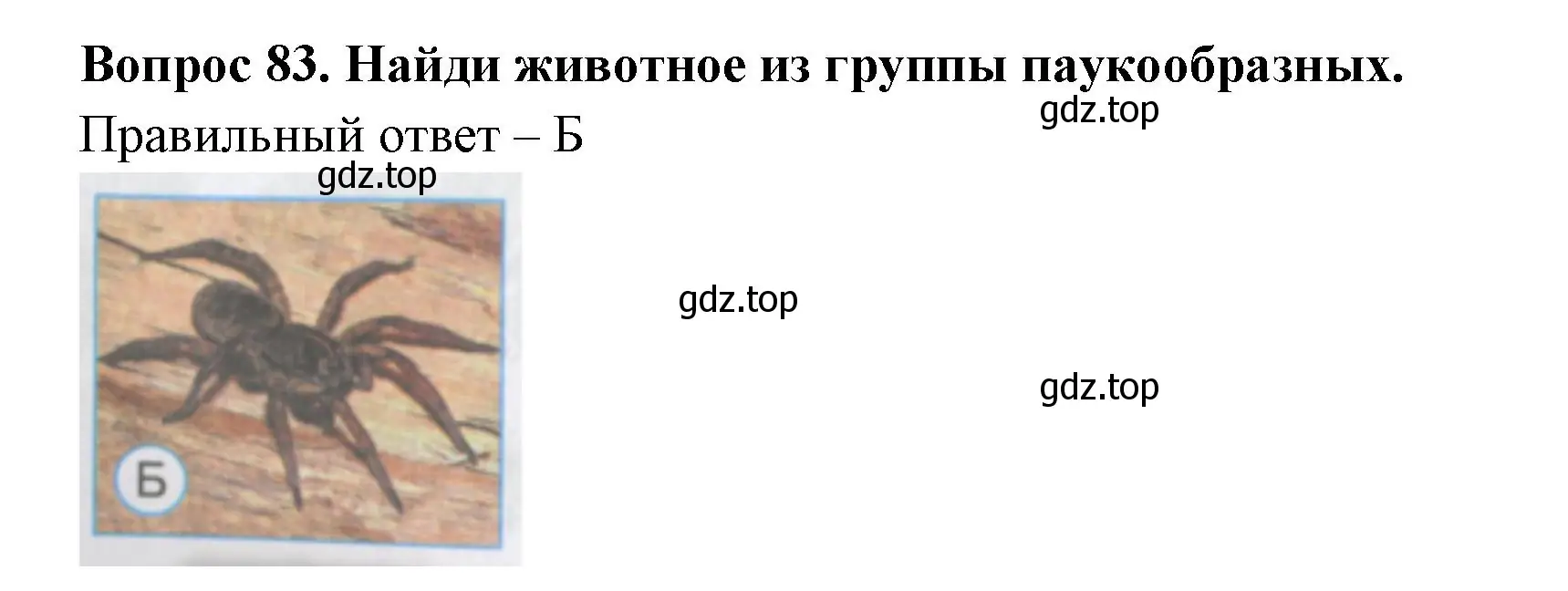 Решение номер 83 (страница 26) гдз по окружающему миру 3 класс Плешаков, Гара, тесты