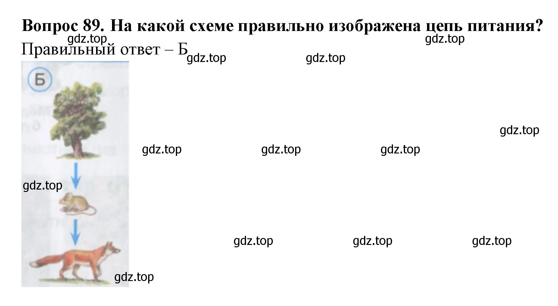 Решение номер 89 (страница 28) гдз по окружающему миру 3 класс Плешаков, Гара, тесты
