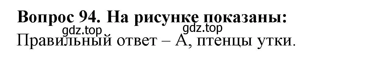 Решение номер 94 (страница 30) гдз по окружающему миру 3 класс Плешаков, Гара, тесты