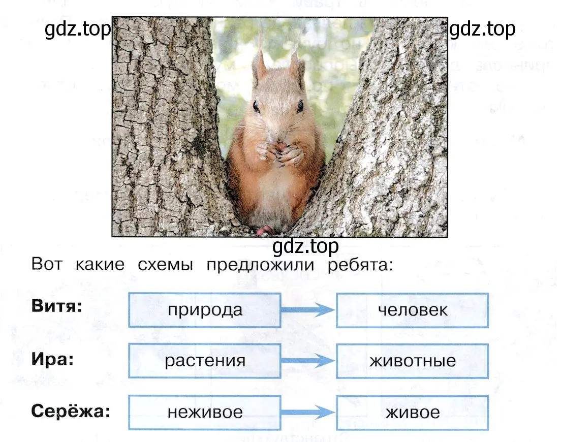 Связь растений и животных - окружающий мир 3 класс Плешаков