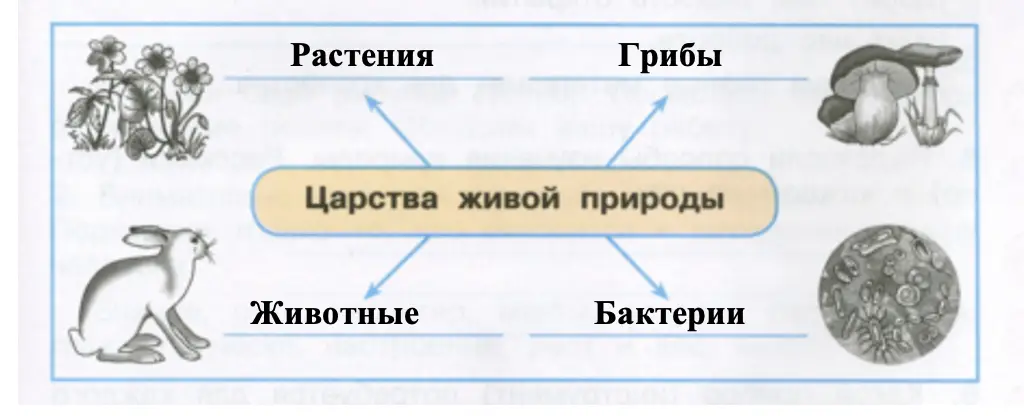 Царства живой природы - окружающий мир 4 класс Плешаков