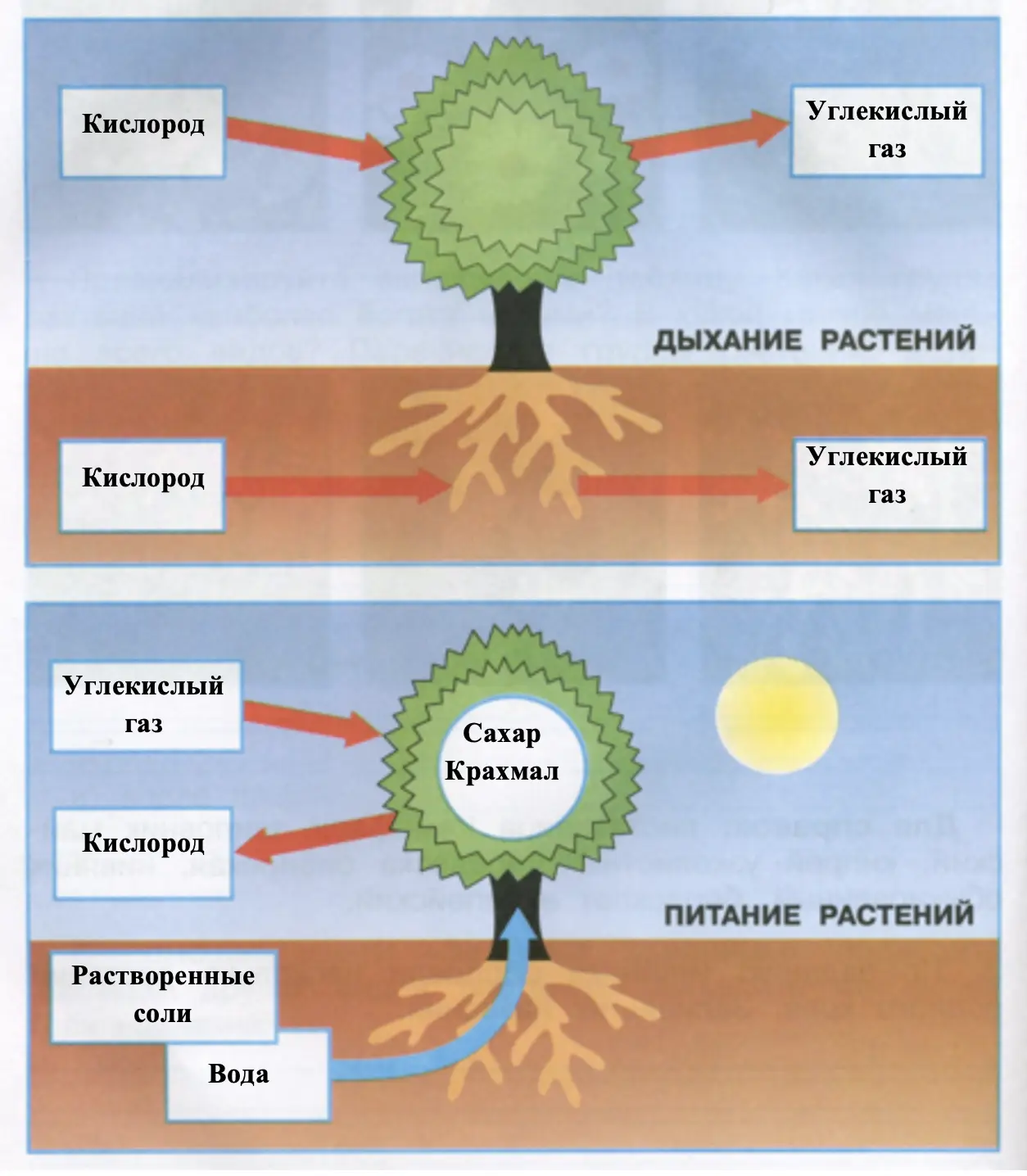 модель-аппликация - окружающий мир 3 класс Плешаков тетрадь