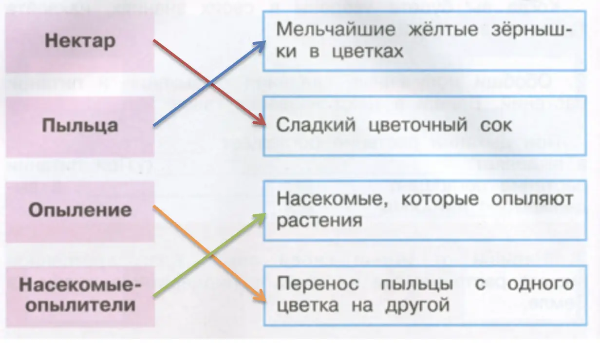 Опыление - окружающий мир 3 класс Плешаков тетрадь