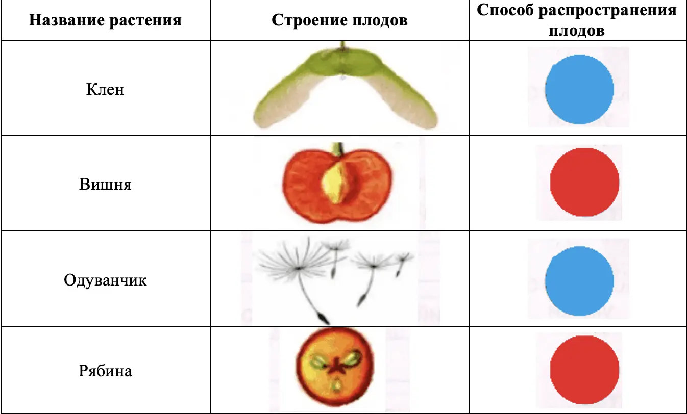 Практическая работа «Изучаем способы распространения плодов» - окружающий мир 3 класс Плешаков тетрадь