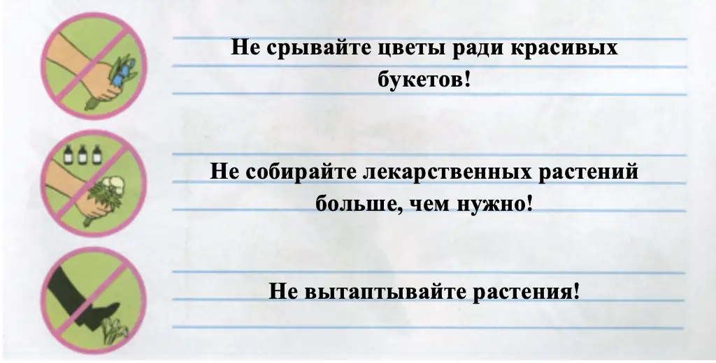 Правила поведения в лесу - окружающий мир 3 класс Плешаков тетрадь