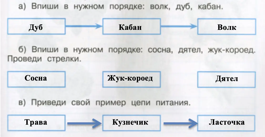 Схемы цепей питания - окружающий мир 3 класс Плешаков тетрадь