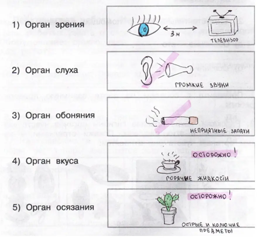 Правила гигиены - окружающий мир 3 класс Плешаков тетрадь