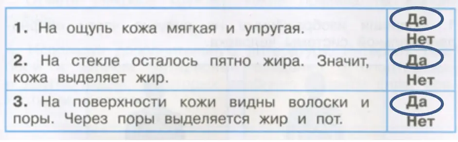 Практическая работа «Исследуем нашу кожу» - окружающий мир 3 класс Плешаков тетрадь