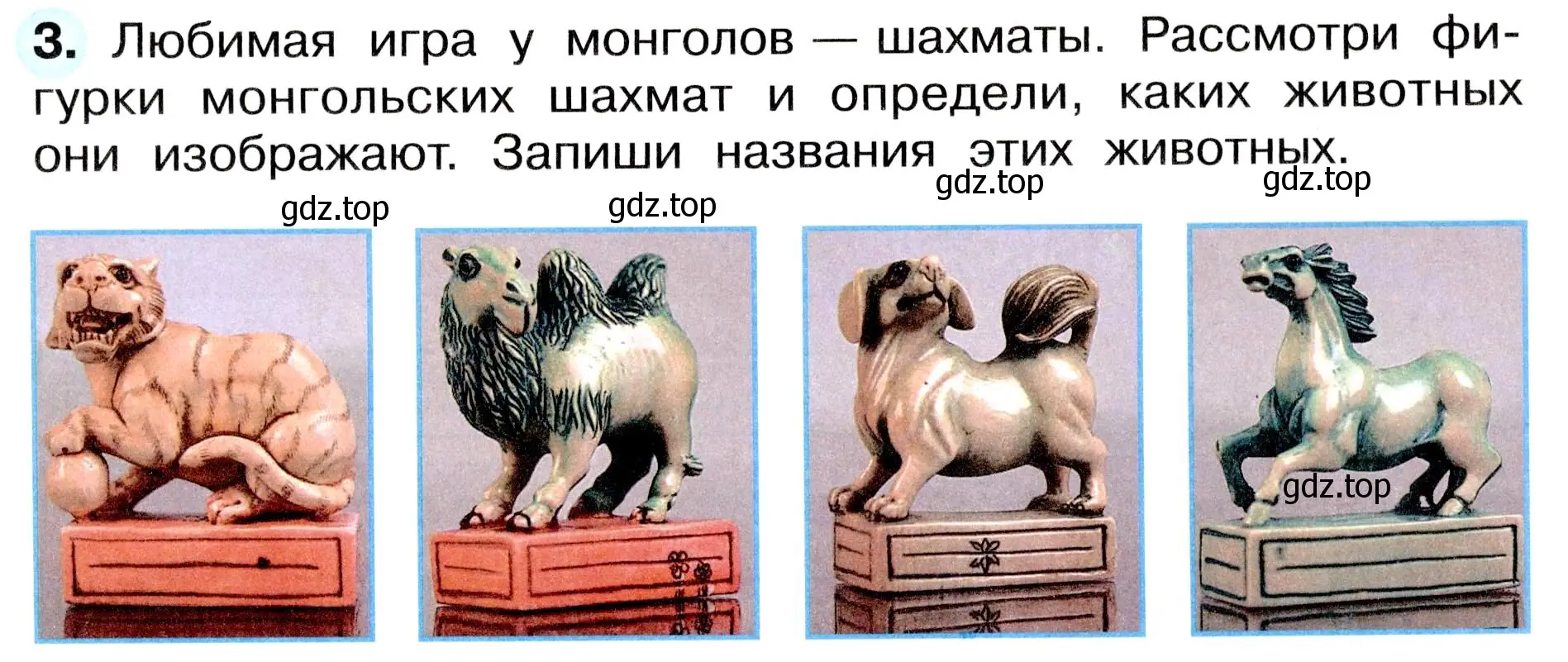 Условие номер 3 (страница 23) гдз по окружающему миру 4 класс Плешаков, Новицкая, рабочая тетрадь 1 часть