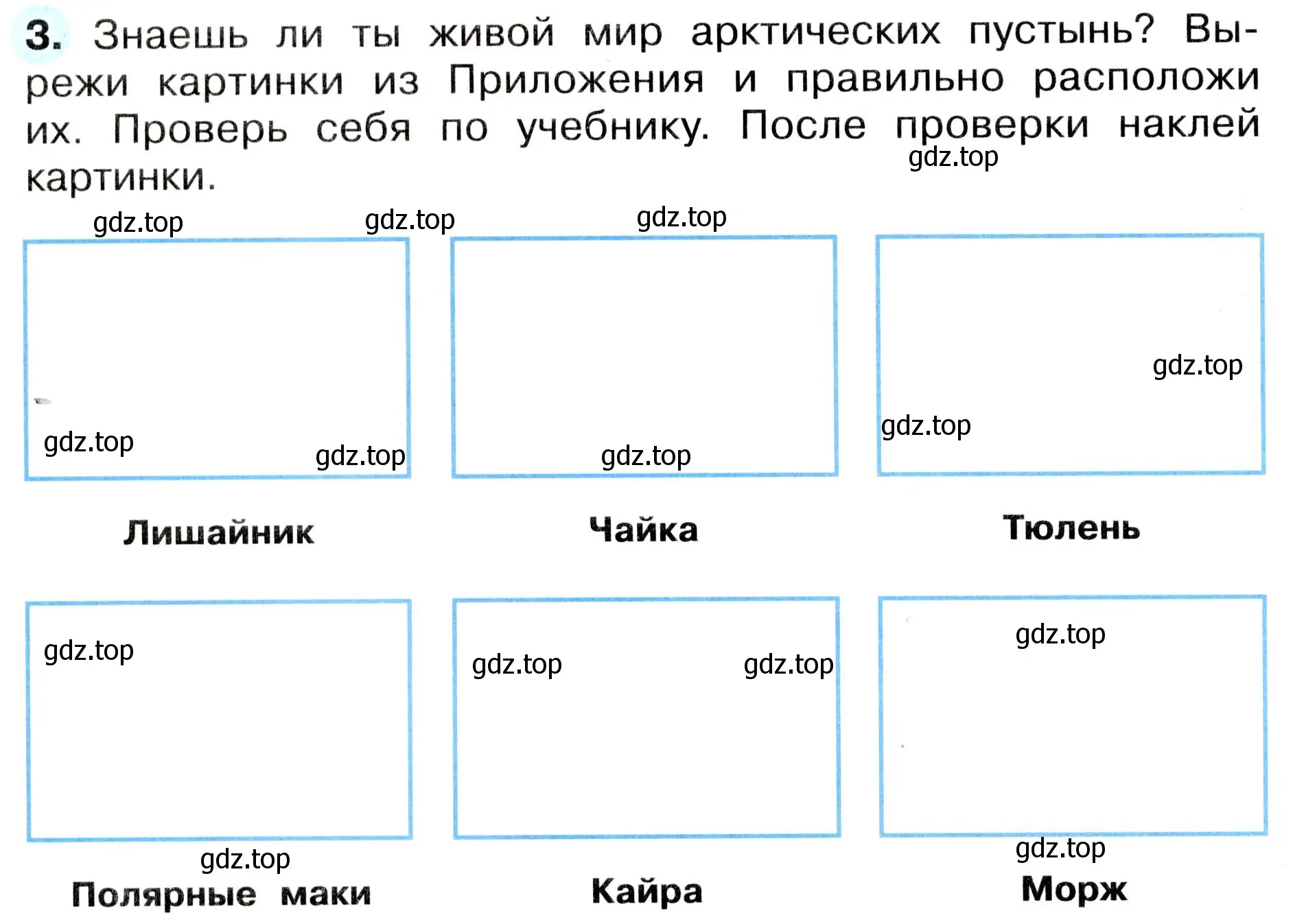 Условие номер 3 (страница 46) гдз по окружающему миру 4 класс Плешаков, Новицкая, рабочая тетрадь 1 часть