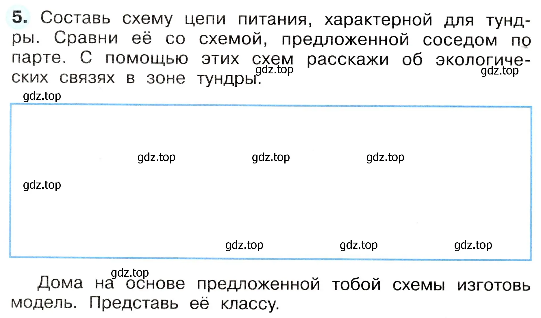 Условие номер 5 (страница 49) гдз по окружающему миру 4 класс Плешаков, Новицкая, рабочая тетрадь 1 часть