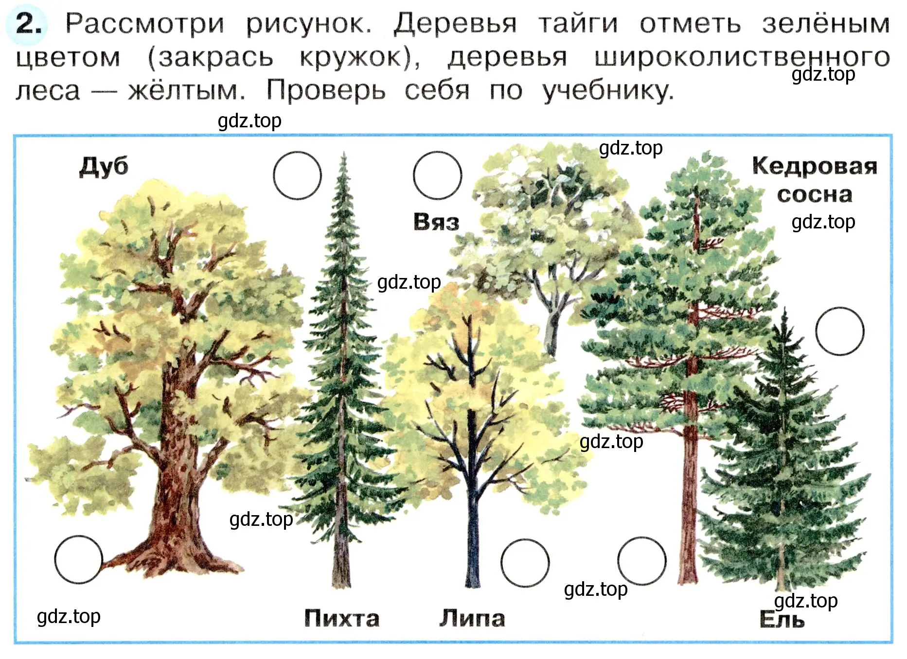 Условие номер 2 (страница 50) гдз по окружающему миру 4 класс Плешаков, Новицкая, рабочая тетрадь 1 часть