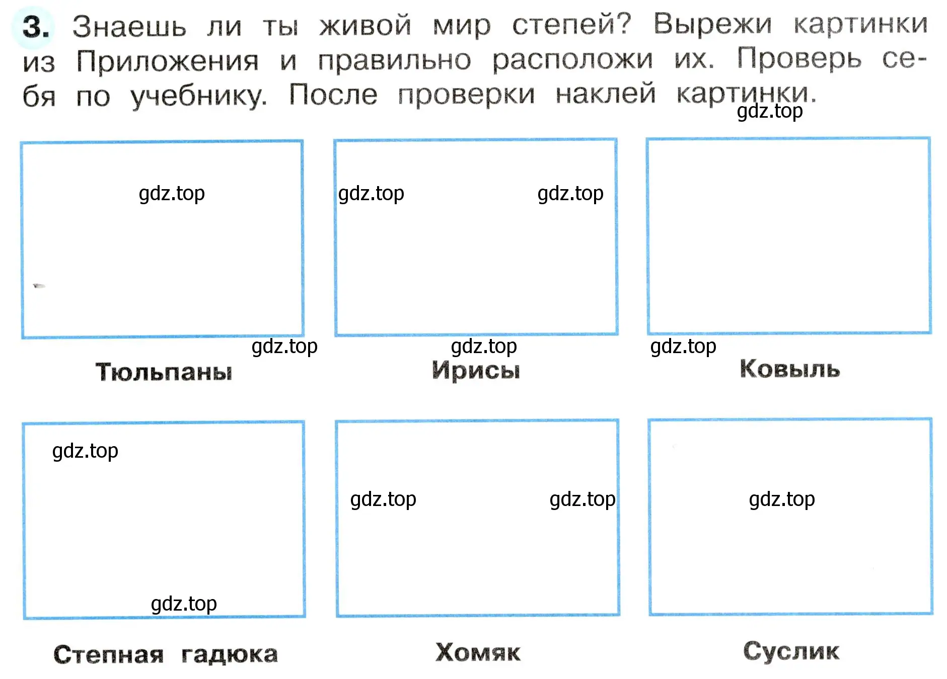 Условие номер 3 (страница 52) гдз по окружающему миру 4 класс Плешаков, Новицкая, рабочая тетрадь 1 часть