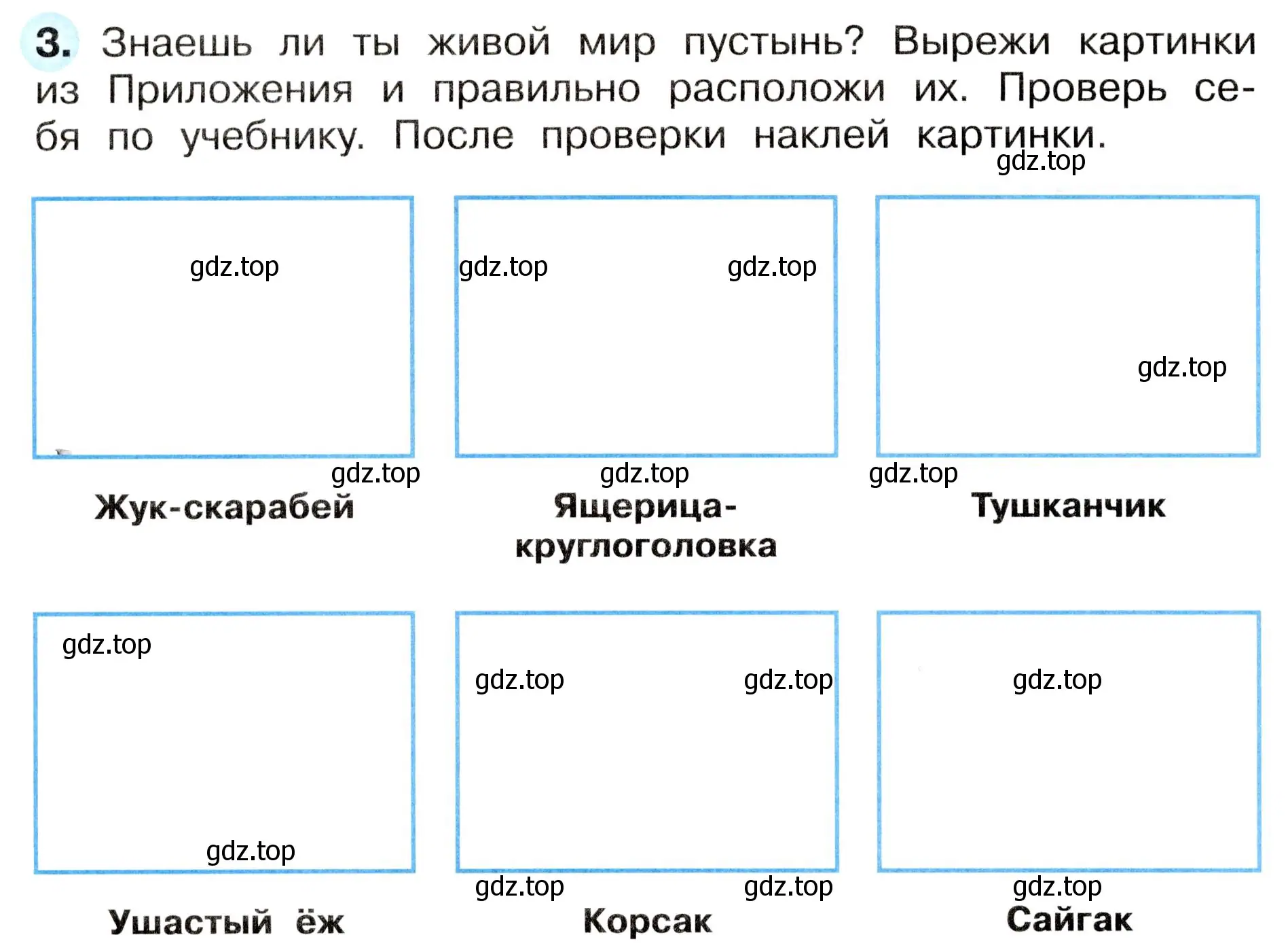 Условие номер 3 (страница 54) гдз по окружающему миру 4 класс Плешаков, Новицкая, рабочая тетрадь 1 часть