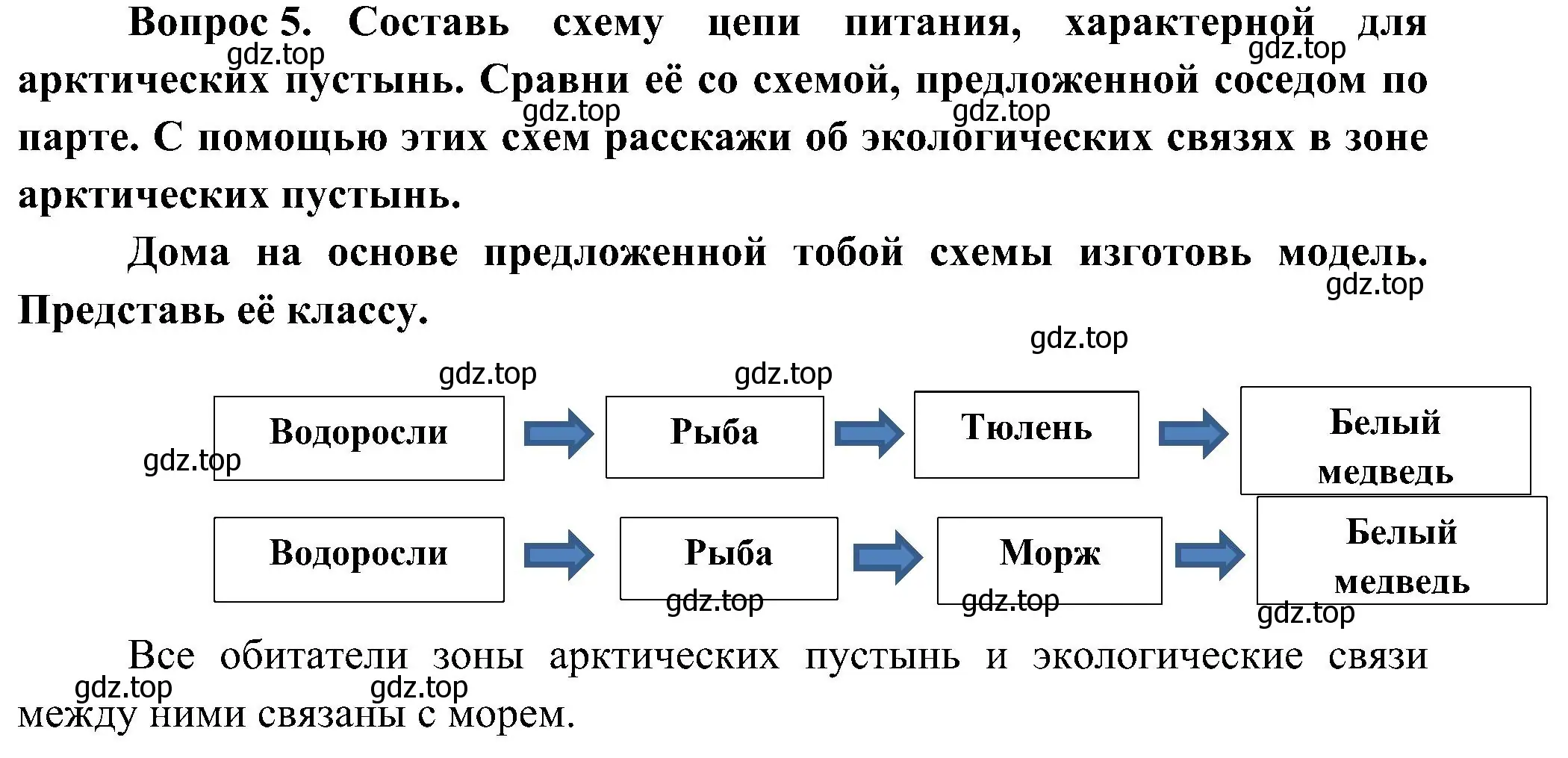 Решение номер 5 (страница 47) гдз по окружающему миру 4 класс Плешаков, Новицкая, рабочая тетрадь 1 часть