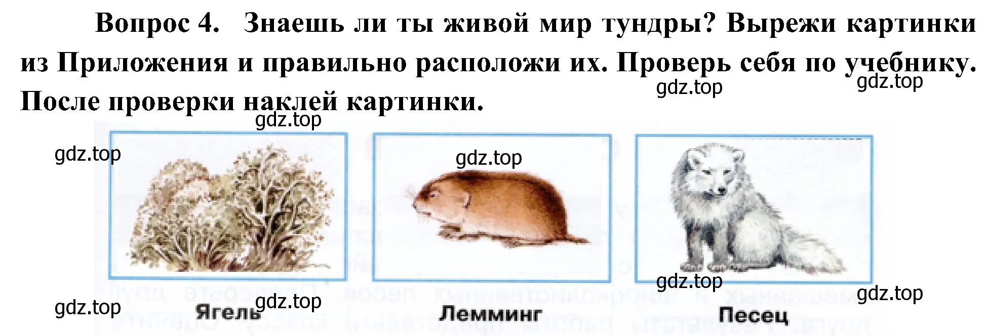 Решение номер 4 (страница 48) гдз по окружающему миру 4 класс Плешаков, Новицкая, рабочая тетрадь 1 часть
