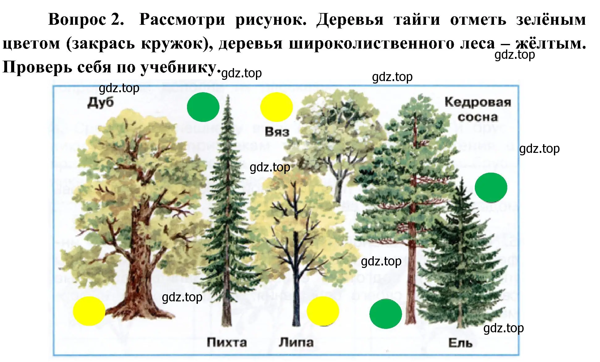 Решение номер 2 (страница 50) гдз по окружающему миру 4 класс Плешаков, Новицкая, рабочая тетрадь 1 часть