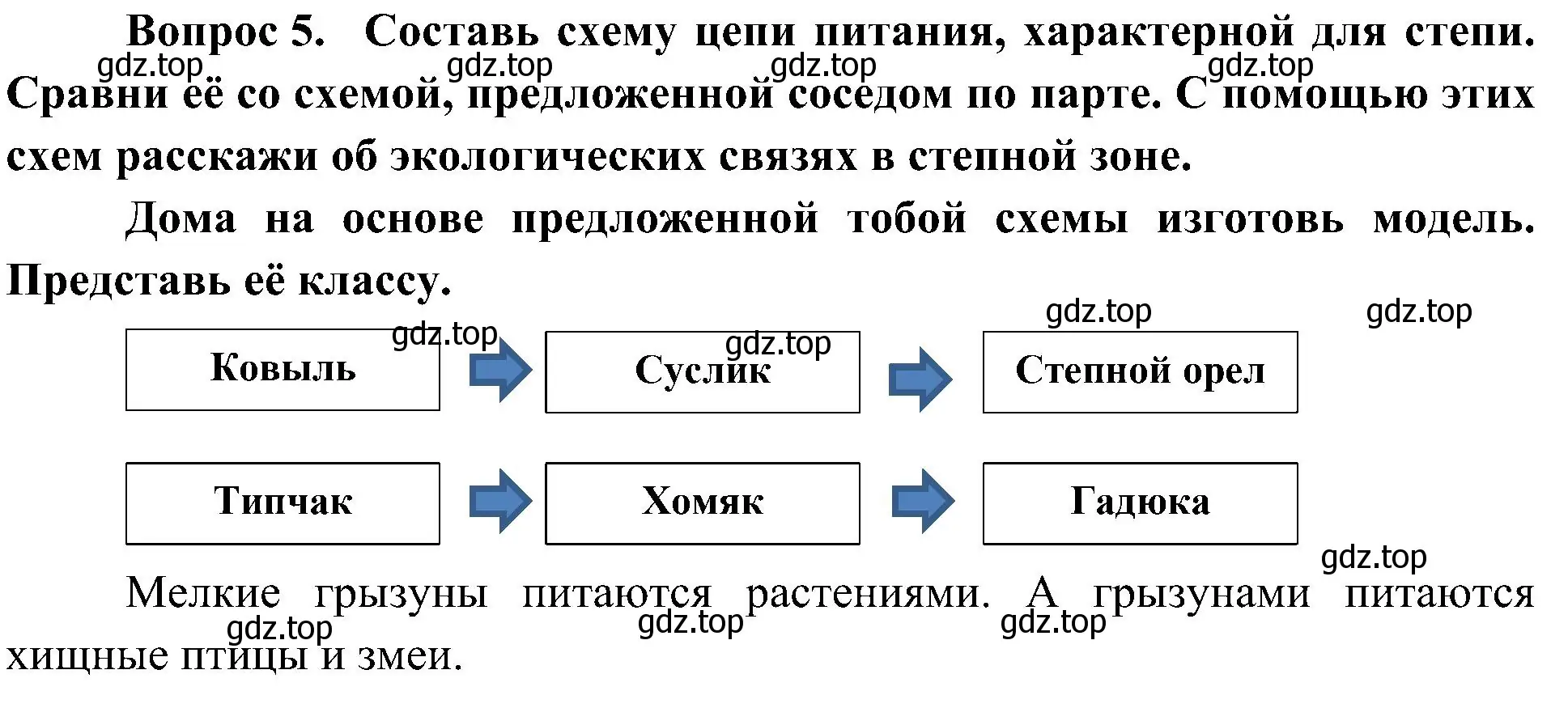 Решение номер 5 (страница 53) гдз по окружающему миру 4 класс Плешаков, Новицкая, рабочая тетрадь 1 часть