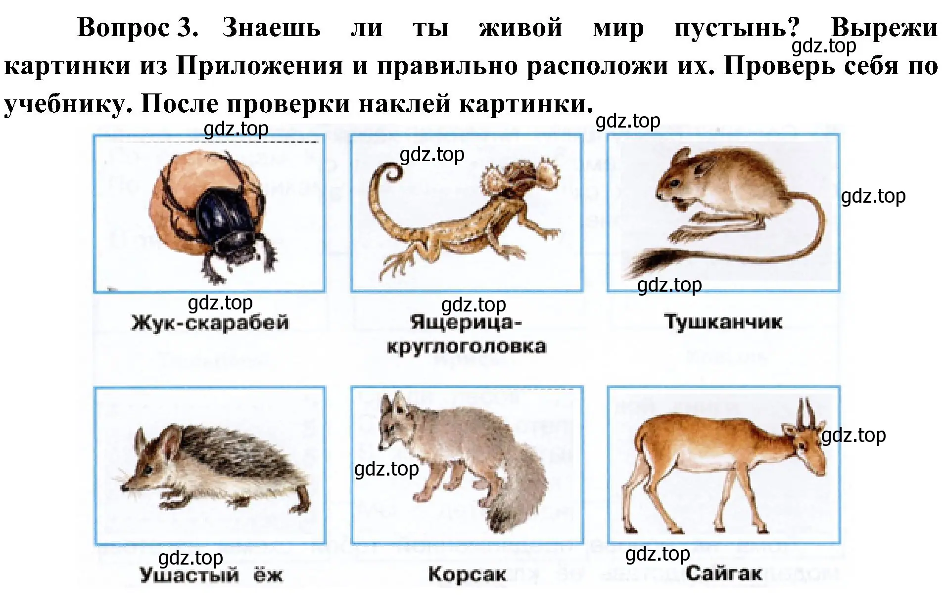 Решение номер 3 (страница 54) гдз по окружающему миру 4 класс Плешаков, Новицкая, рабочая тетрадь 1 часть