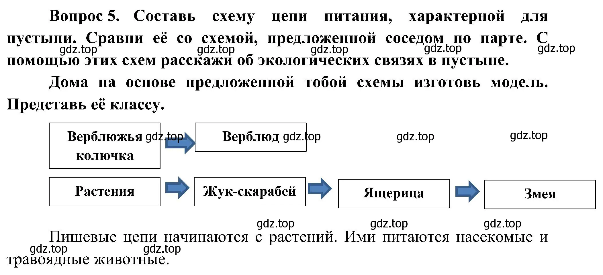 Решение номер 5 (страница 55) гдз по окружающему миру 4 класс Плешаков, Новицкая, рабочая тетрадь 1 часть