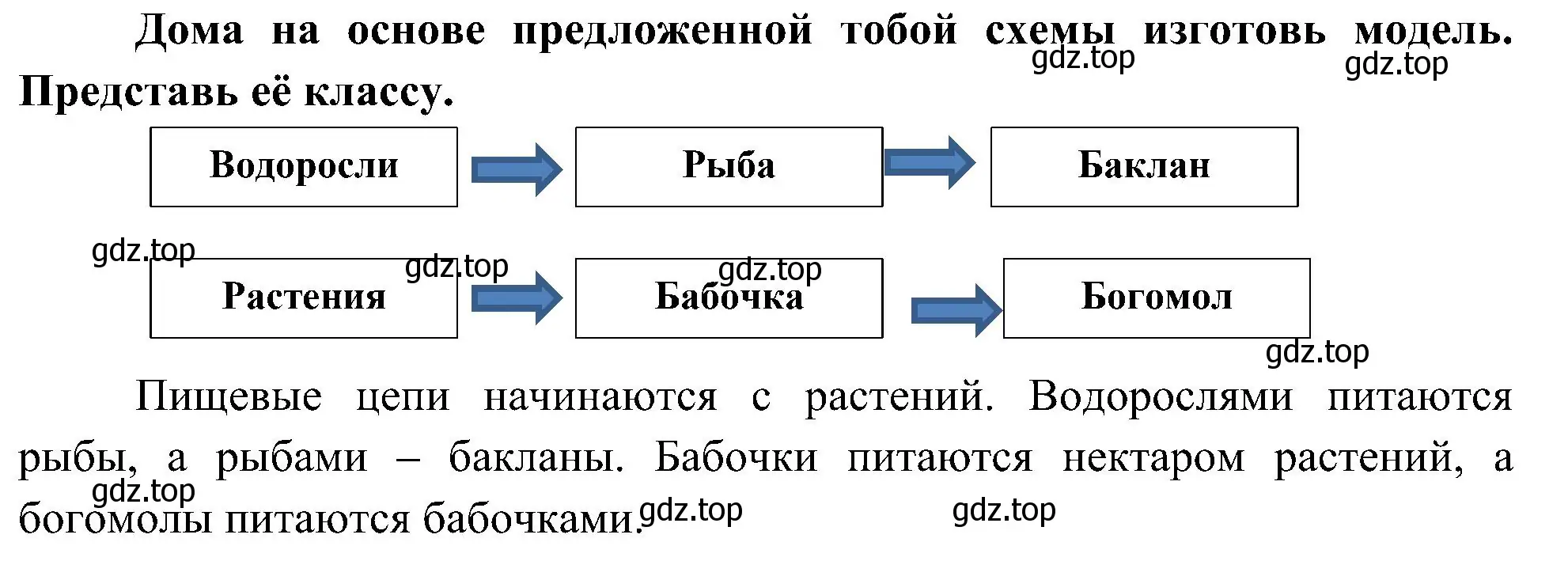 Решение номер 4 (страница 57) гдз по окружающему миру 4 класс Плешаков, Новицкая, рабочая тетрадь 1 часть