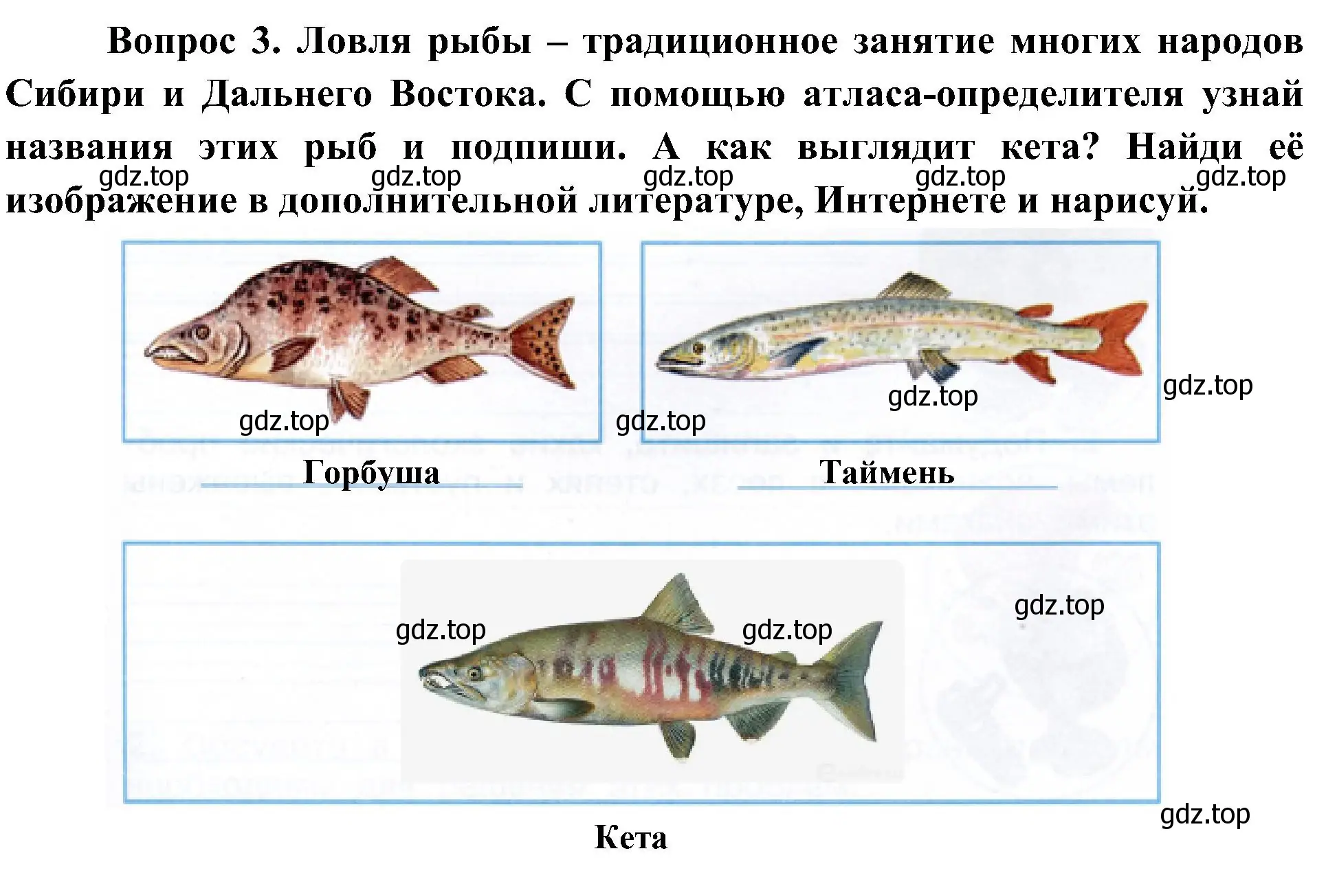 Решение номер 3 (страница 61) гдз по окружающему миру 4 класс Плешаков, Новицкая, рабочая тетрадь 1 часть