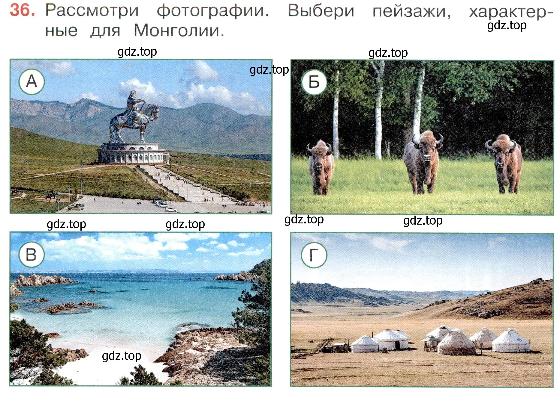 Условие номер 36 (страница 14) гдз по окружающему миру 4 класс Плешаков, Новицкая, тесты